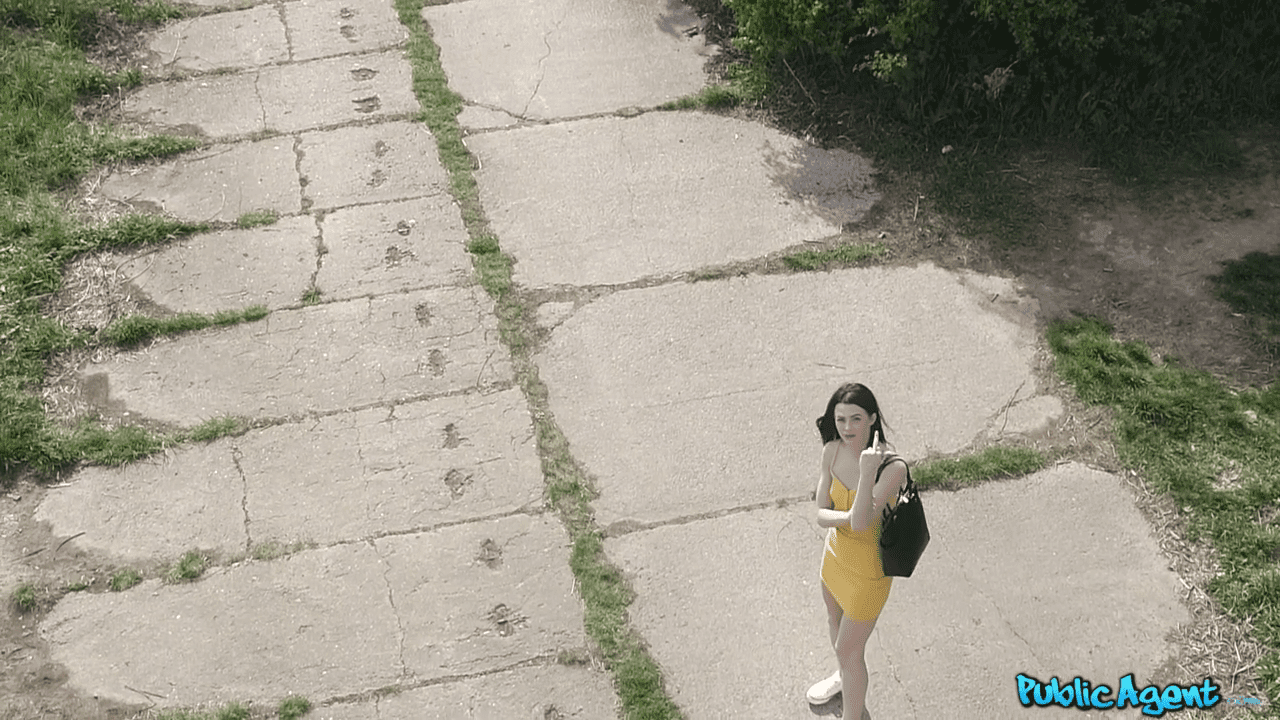 Video Image